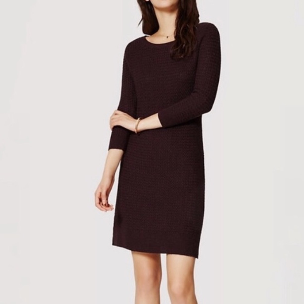 Ann Taylor Loft Basketweave Sweater Dress